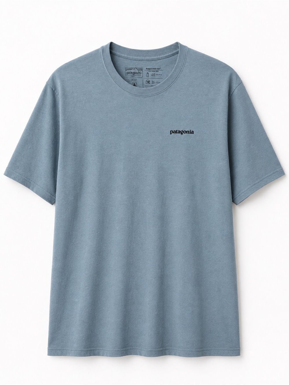 Patagonia Short-Sleeve Crewneck Tee in Dusty Blue